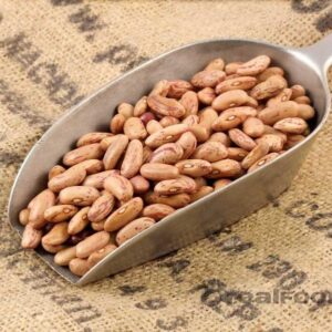 buy Borlotti Beans