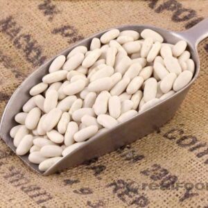 Buy Cannellini Bean (Alubia)