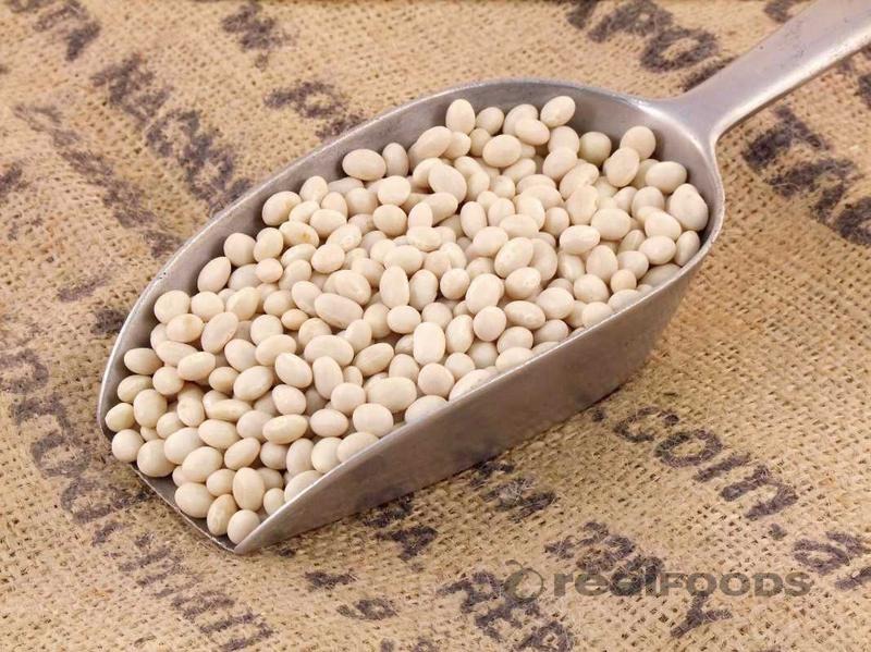 buy dried haricot beans