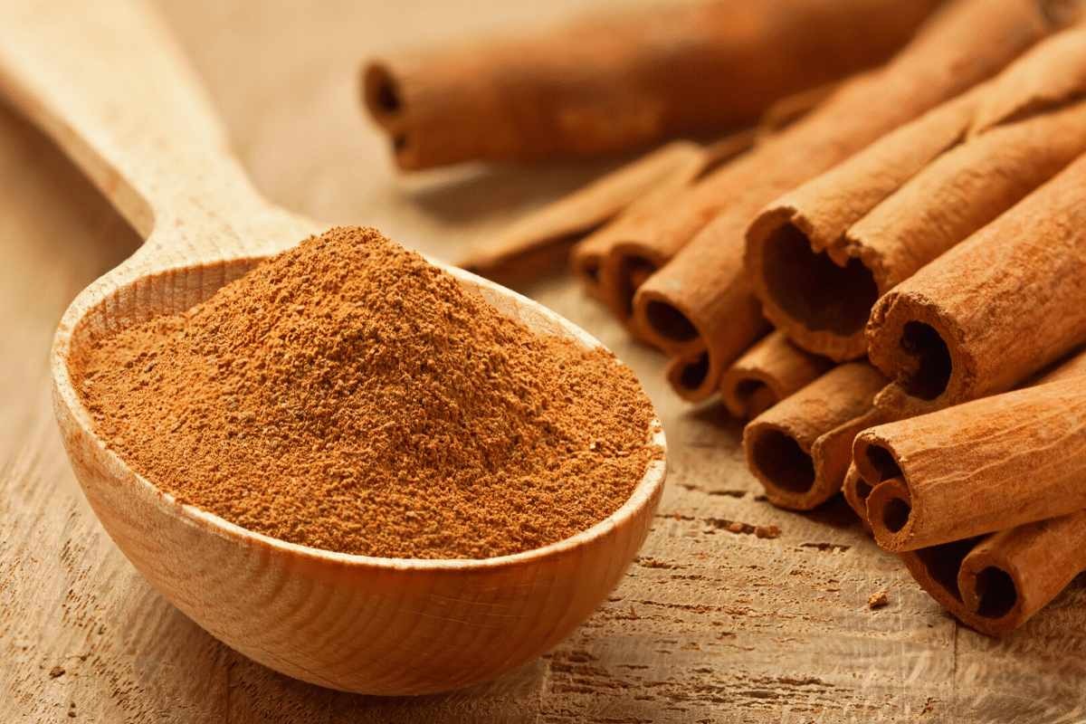 Buy Cinnamon Powder