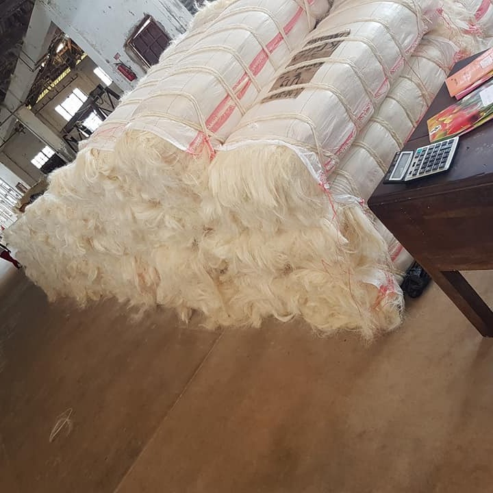 buy UG Grade Sisal Fiber