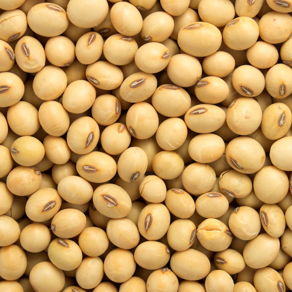 soybeans