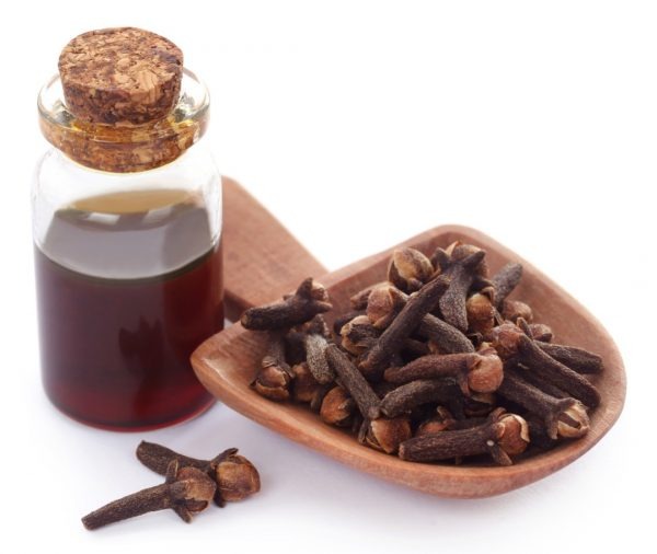 clove oil