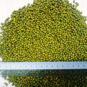 buy Mung beans