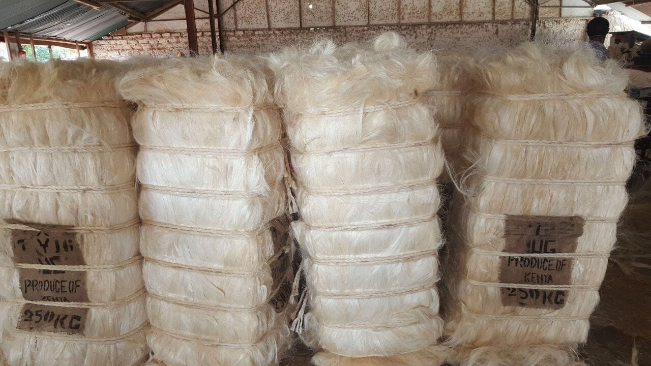 buy Sisal Fiber