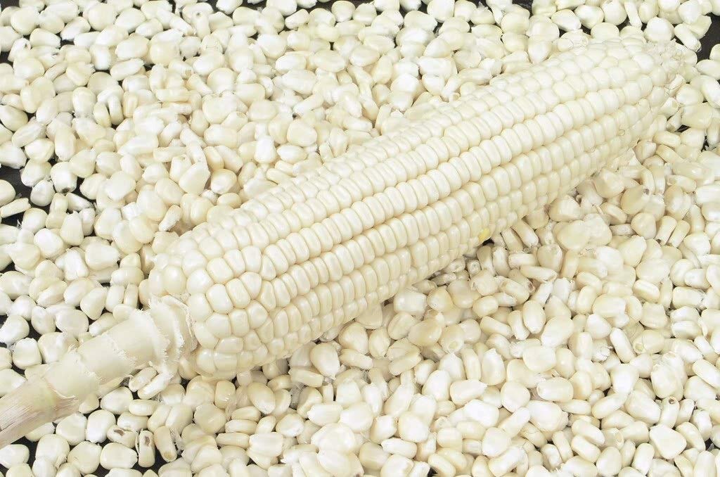 buy white Maize