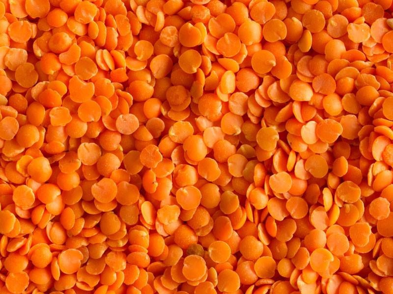 buy dal red lentil