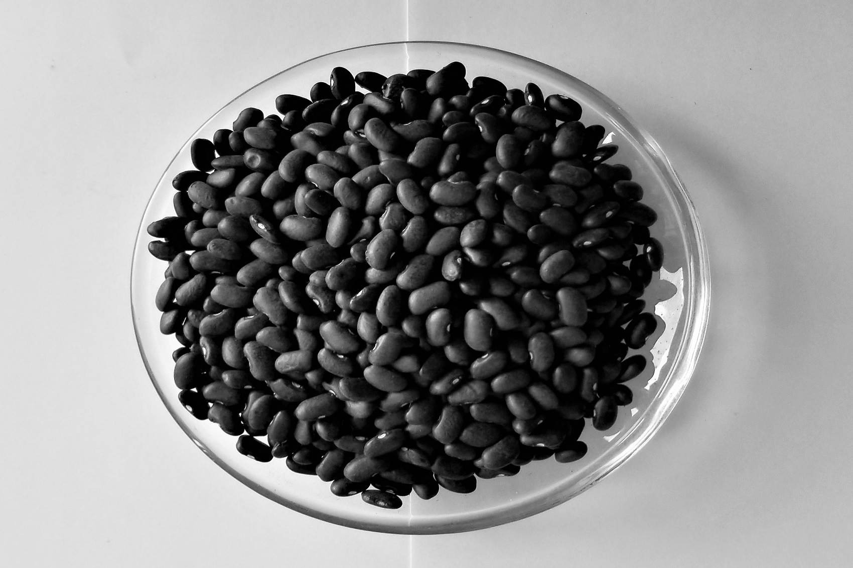 buy Black beans