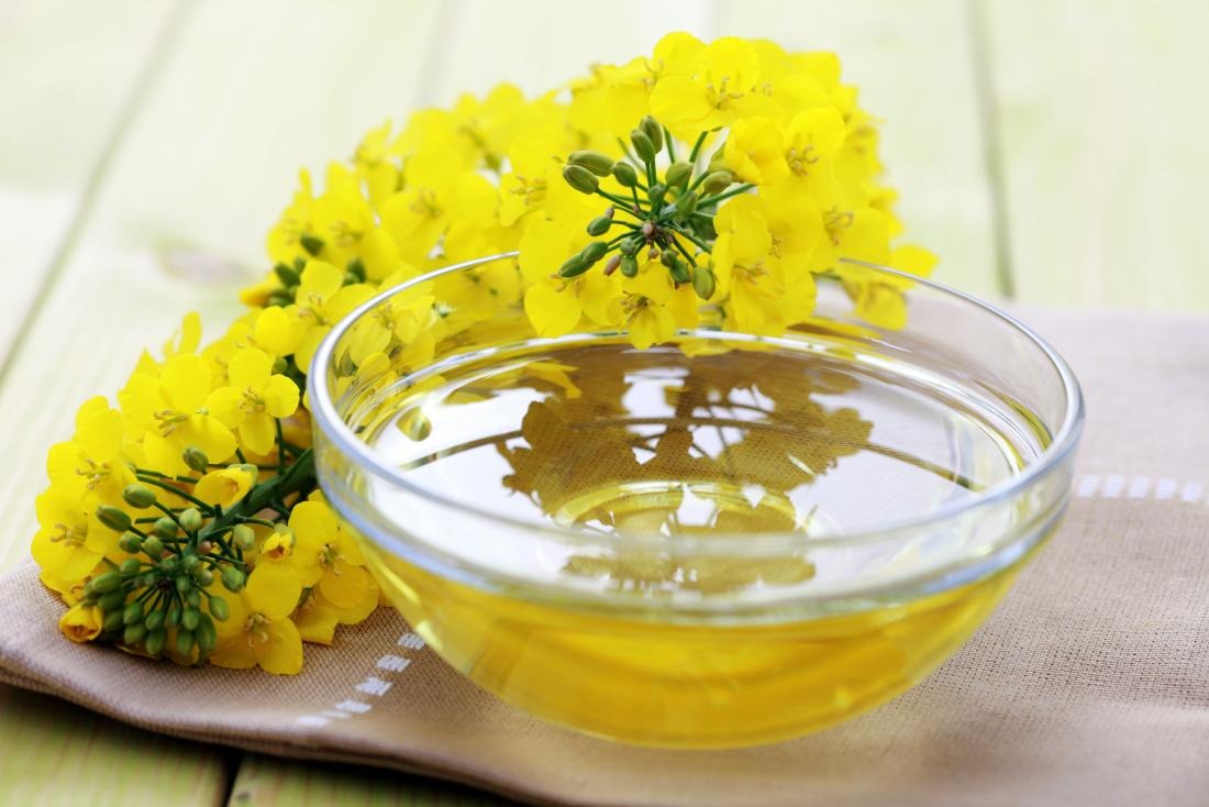 canola rapeseed oil