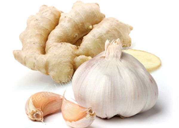 Garlic Suppliers In Kenya