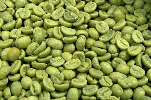 Buy arabica coffee