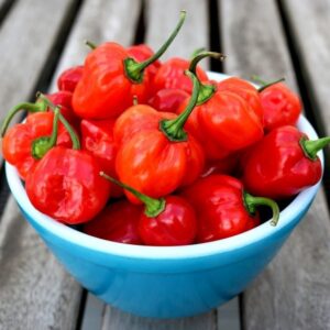 buy habanero pepper