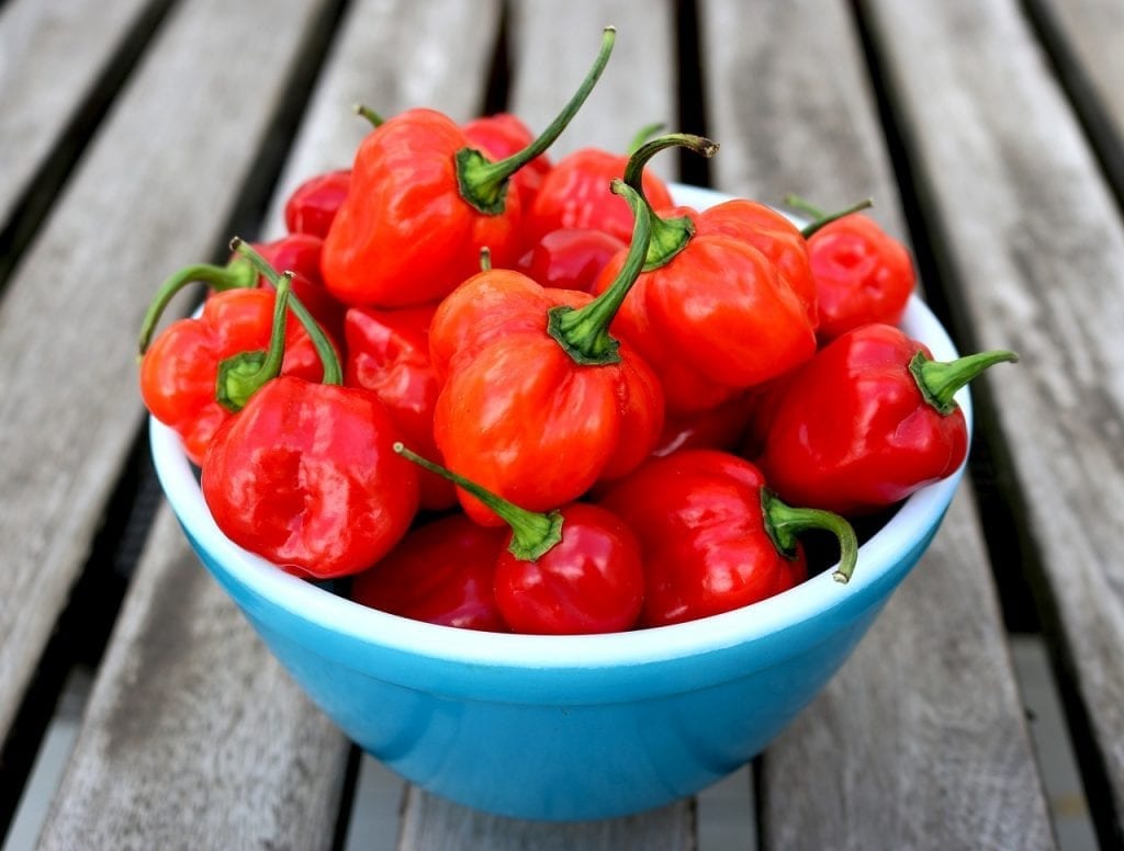 buy habanero pepper