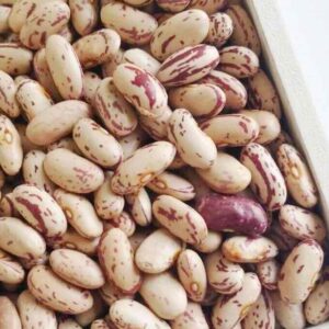 buy light speckled kidney beans