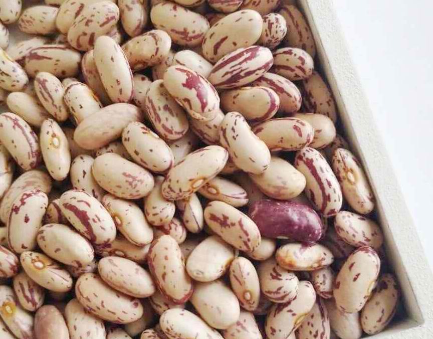 buy light speckled kidney beans