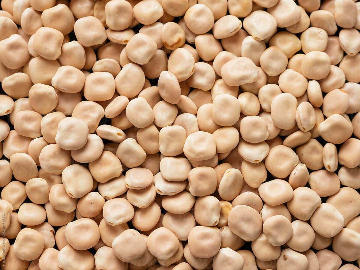 buy lupin beans