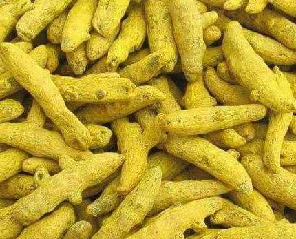 buy Turmeric Finger