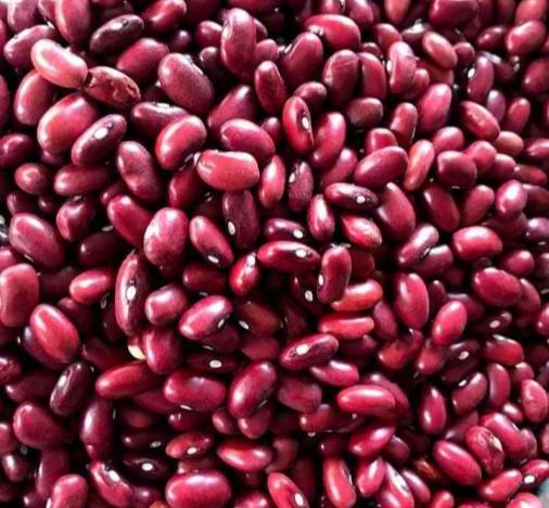 buy red kidney beans