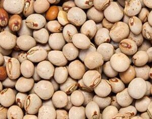 buy Pigeon peas