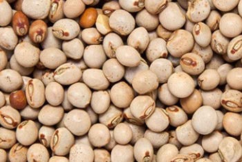 buy Pigeon peas