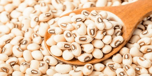 buy White Pea Beans